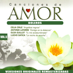 Canciones de Amor Vol.5: Boleros