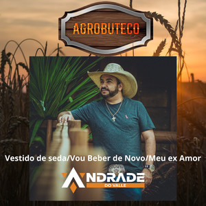 Vestido de Seda / Vou Beber de Novo / Meu Ex Amor (Agrobuteco)