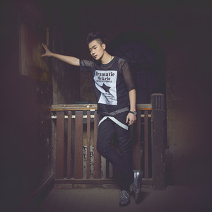 心跳 Cover:王力宏