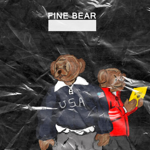 Fine Bear