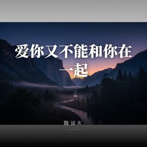爱你又不能和你在一起封面