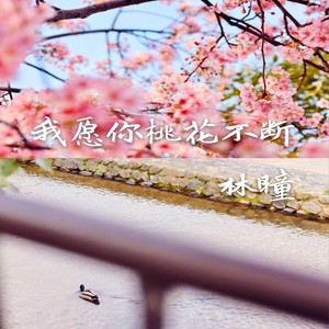 我愿你桃花不断