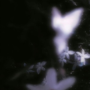 我们好不容易我们身不由己