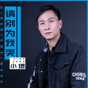 请别为我哭 (伴奏)