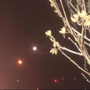 it won't fail if the beginning still exists (feat. Slxtwrxsts & Young LV) (Explicit)