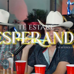 Te Estaré Esperando