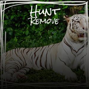 Hunt Remove