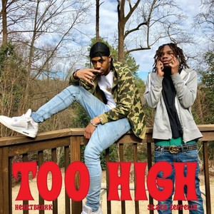 TOO HIGH (feat. skata zeppelin) (Explicit)