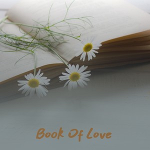 Book of Love