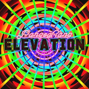 Elevation (feat. ESARA, PureA, Germoney, Midnight Prophet, Kris Cherry, Know Justice & ether.UNLIMITED)