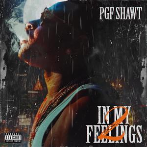 IN MY FEELINGS 2 (Explicit)