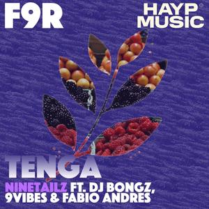 Tenga (feat. DJ Bongz, Fabio Andres & 9vibez)