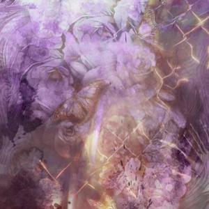 Coupe (feat. NotCaMMFrr) (Explicit)