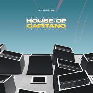 Midnight Stroll (Explicit)