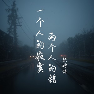 一个人的寂寞两个人的错