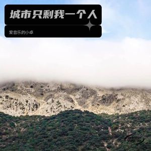 城市只剩我一个人