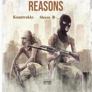 Reasons (Explicit)