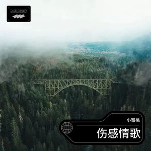 爱你十分泪七分 - 桃桃封面
