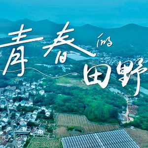 青春的田野（南京市江宁区乡村振兴志愿者主题曲）