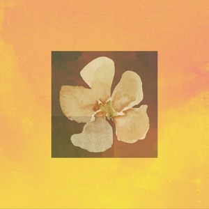 Burn the Lights (Explicit)