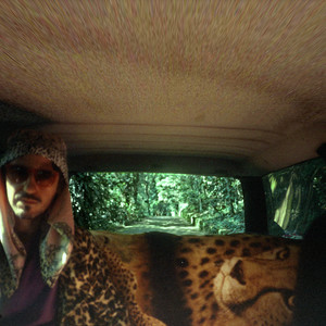 Thiago Nassif - Pele de Leopardo (Cornelius Remix)
