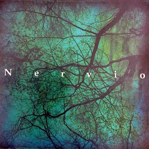 Nervio