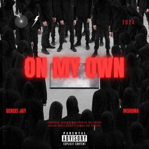On My Own (feat. Mshona) (Explicit)