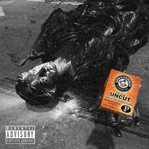 r.l. camoflauge (Explicit)