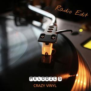 Crazy Vinyl (Radio Edit)