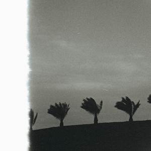 Contribs and Splits (Explicit)