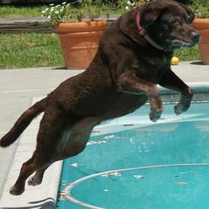 I remember everything (feat. Chrissy Ras)