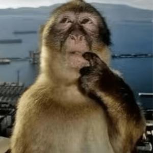 ***** Made (Donutz Diss) (Explicit)