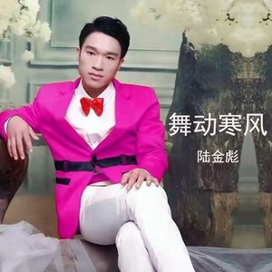 舞动寒风