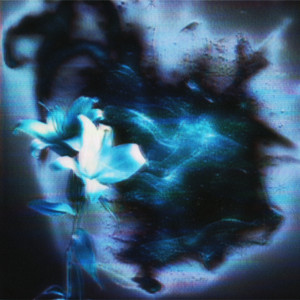 EPHEMERAL LOVE (Explicit)