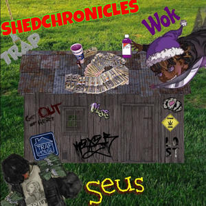 SHEDCHRONICLES (feat. WOK) [Explicit]