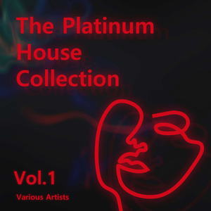 Various Artists - The Platinum House Collection Vol.1