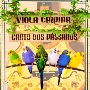 Viola Caipira / O Canto dos Pássaros