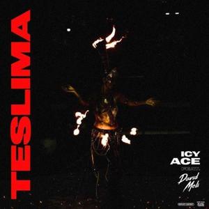 Teslima(feat. David Meli)