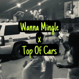 Wanna Mingle x Top Of Cars (Explicit)
