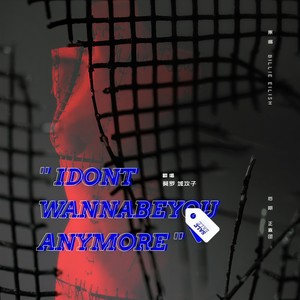 I Don’t Wanna Be You Anymore