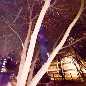 Первая любовь