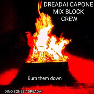 Burn Them Down (Explicit)