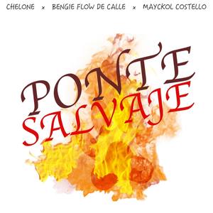 Ponte Salvaje/Mando Fuego (feat. Bengie Flow De calle & Mayckol Costello)