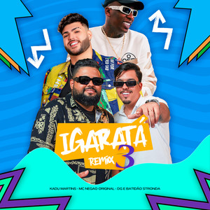 Igaratá 3 (Remix)