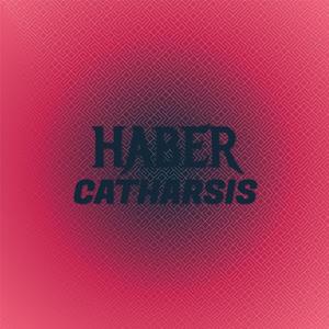 Haber Catharsis