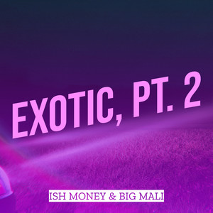 Exotic, Pt. 2 (Explicit)