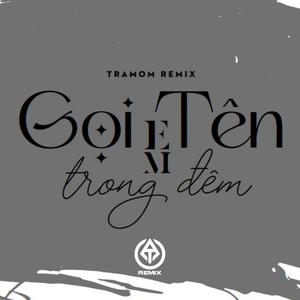 Gọi Tên Em Trong Đêm (feat. Hoa Vinh) (TRAMOM Remix)