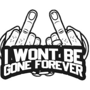 I WONT BE GONE FOREVER (Explicit)