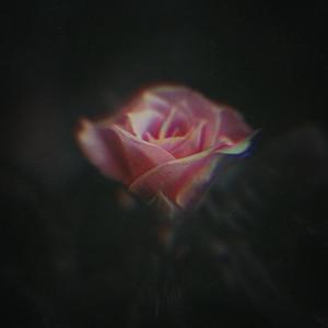 Until We Meet Next (feat. Alphy)