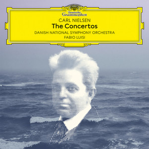 Flute Concerto, CNW 42 - II. Allegretto (长笛协奏曲，CNW 42)